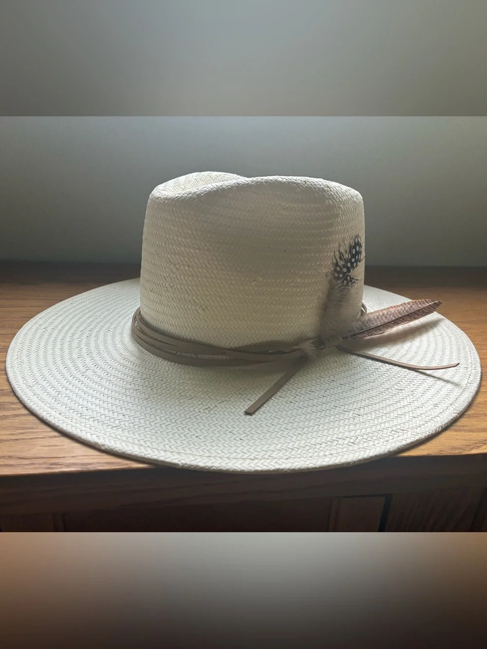 Wyeth Cream Wide-Brim Fedora with Brown Band and Feather